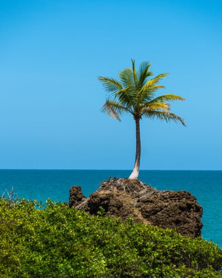 costa das falesias 1080x1350 (12)