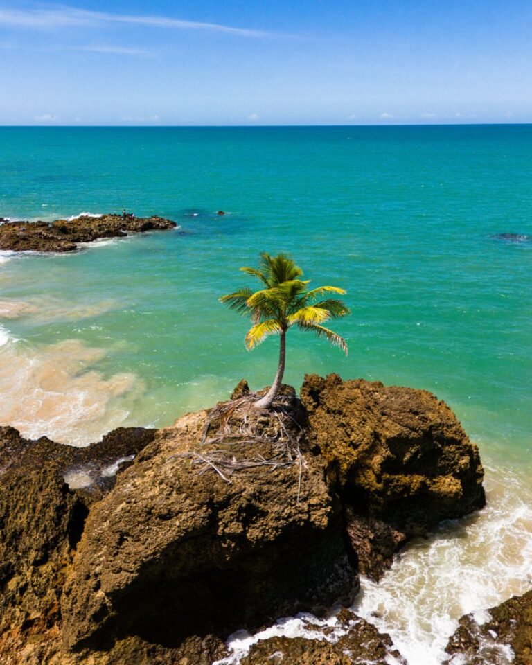 costa das falesias 1080x1350 (13)