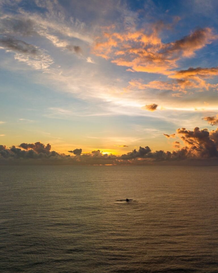 costa das falesias 1080x1350 (21)